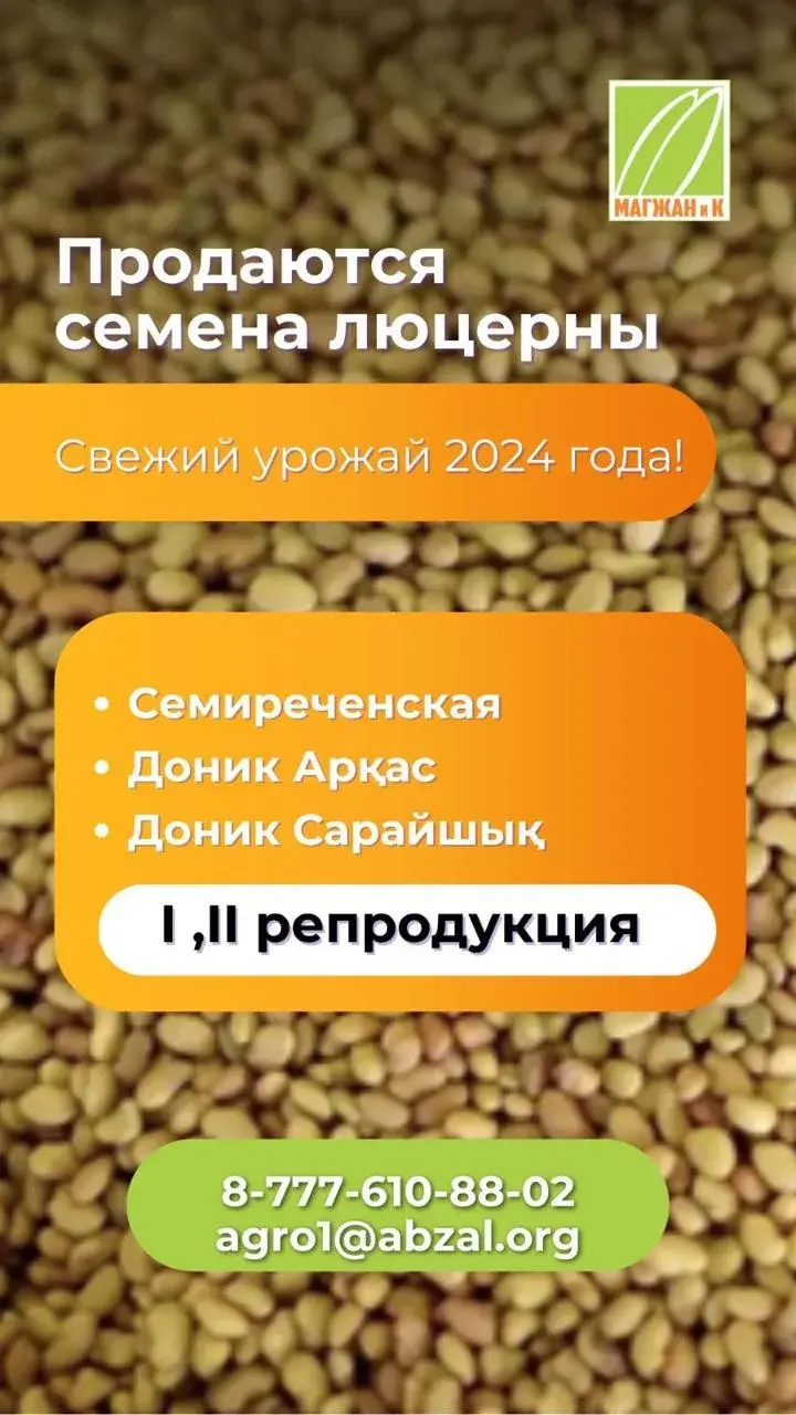 Семена люцерны