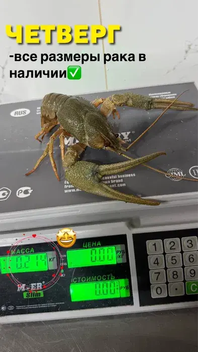 Раки и морепродукты