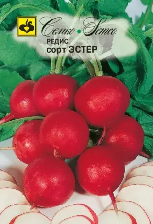 Семена редиса Эстер (Чехия)