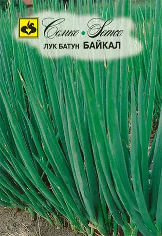 Семена лука батуна Байкал (Нидерланды)