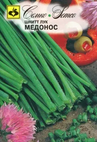 Семена шнитт лука Медонос (Нидерланды)