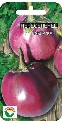 Баклажан Переселенец
