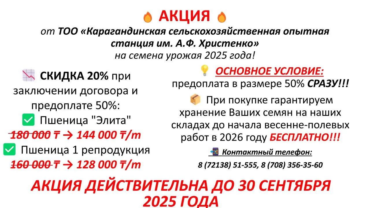Пшеница Элита