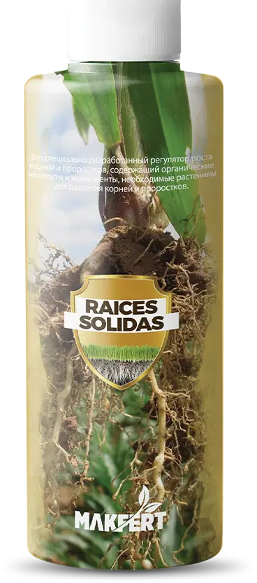 raices solidas