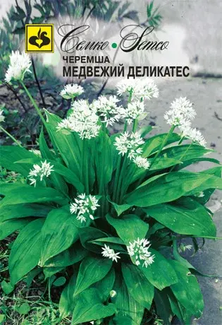 Семена Черемши Медвежий Деликатес (Венгрия)