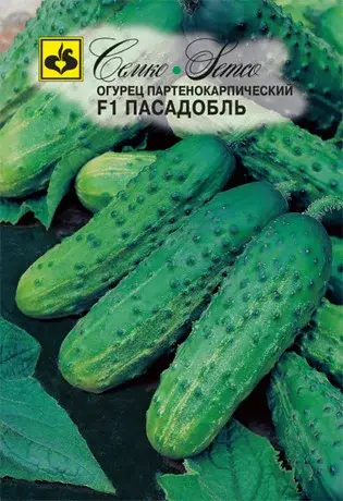 Семена огурца Пасадобль F1 (Чехия)