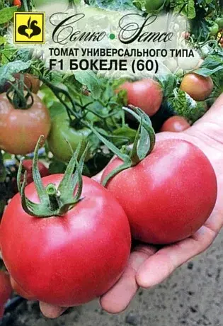 Семена томата Бокеле (60) F1 (Израиль)