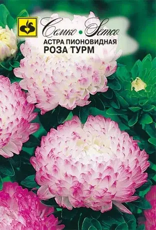 Семена астры пионовидной Роза Турм (Китай)
