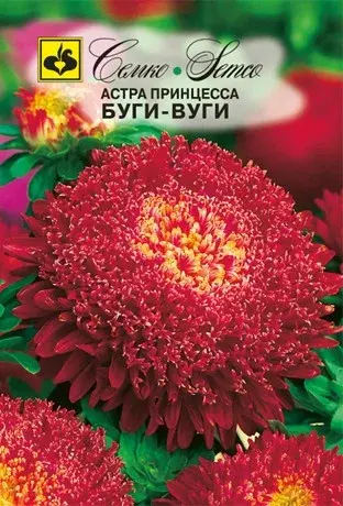 Семена астры принцесса Буги-Вуги (Китай)