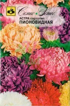 Семена астры Пионовидная Смесь(Китай)
