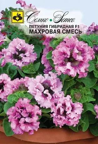 Семена петунии махровая гибридная (Чехия)