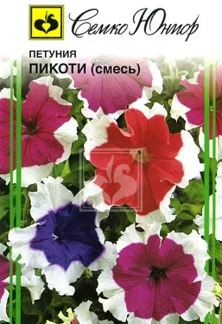 Семена петунии Пикоти (Чехия)