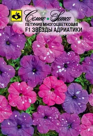 Семена петунии Звезды Адриатики F1 (Чехия)