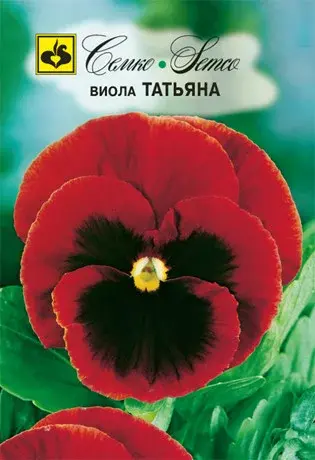 Семена виолы Татьяна (Китай)