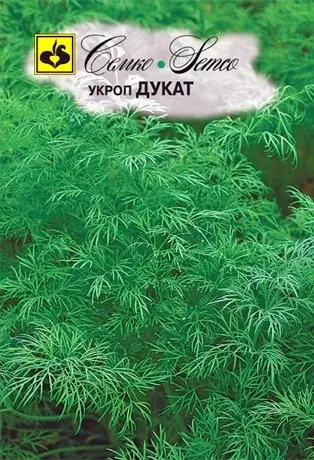 Семена укропа Дукат (Нидерланды)