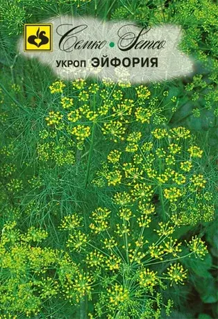 Семена укропа Эйфория (Италия)