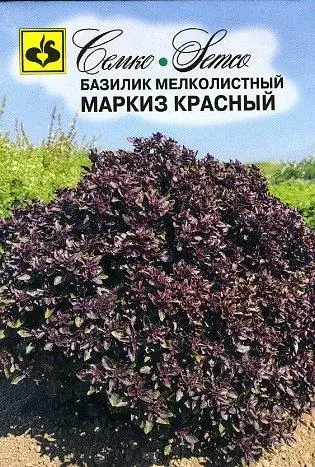Семена базилика Маркиз красный (Нидерланды)