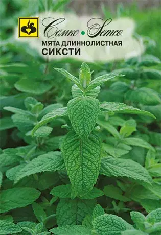 Семена мяты длиннолистной Сиксти (Польша)
