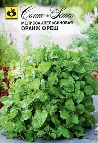 Семена мелиссы Оранж Фреш (Нидерланды)