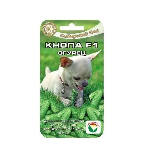 Огурец Кнопа F1 (СибСад)
