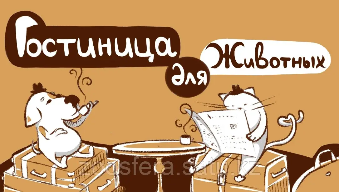 Зоогостиница, передержка