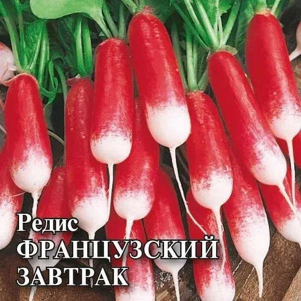 Семена Редис Французский завтрак 50 гр