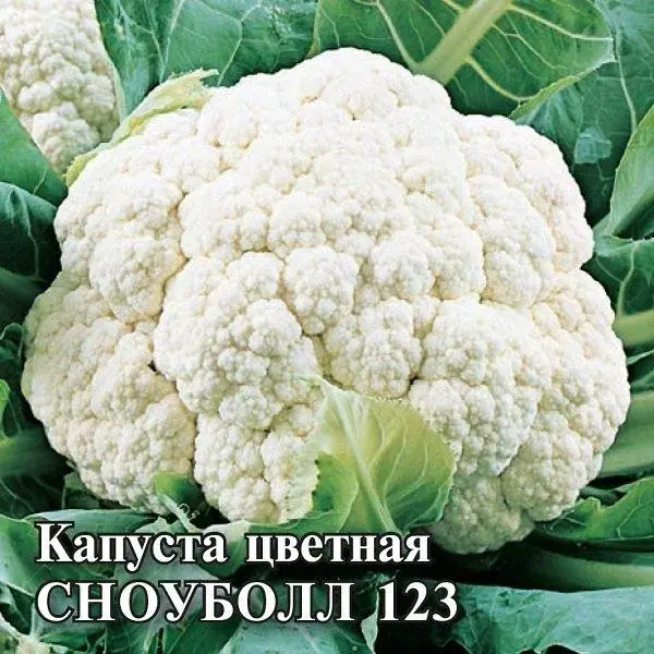Семена капусты цветной Сноуболл 123 25 грамм