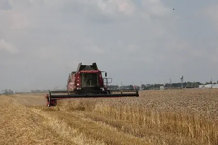 Жатка для зерновых культур ЖЗК (от 5 до 11 метров)