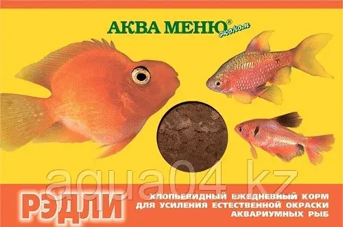 РЭДЛИ