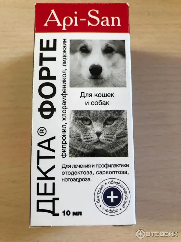 Декта Форте