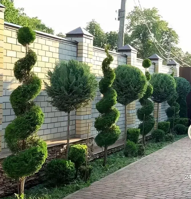 Ландшавтный дизайн