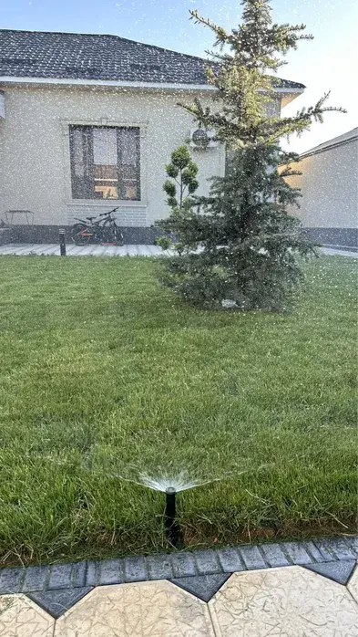 Озеленение