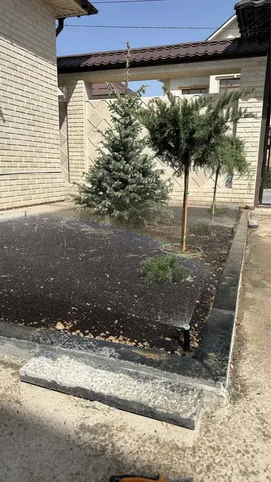 Ландшавтный дизайн
