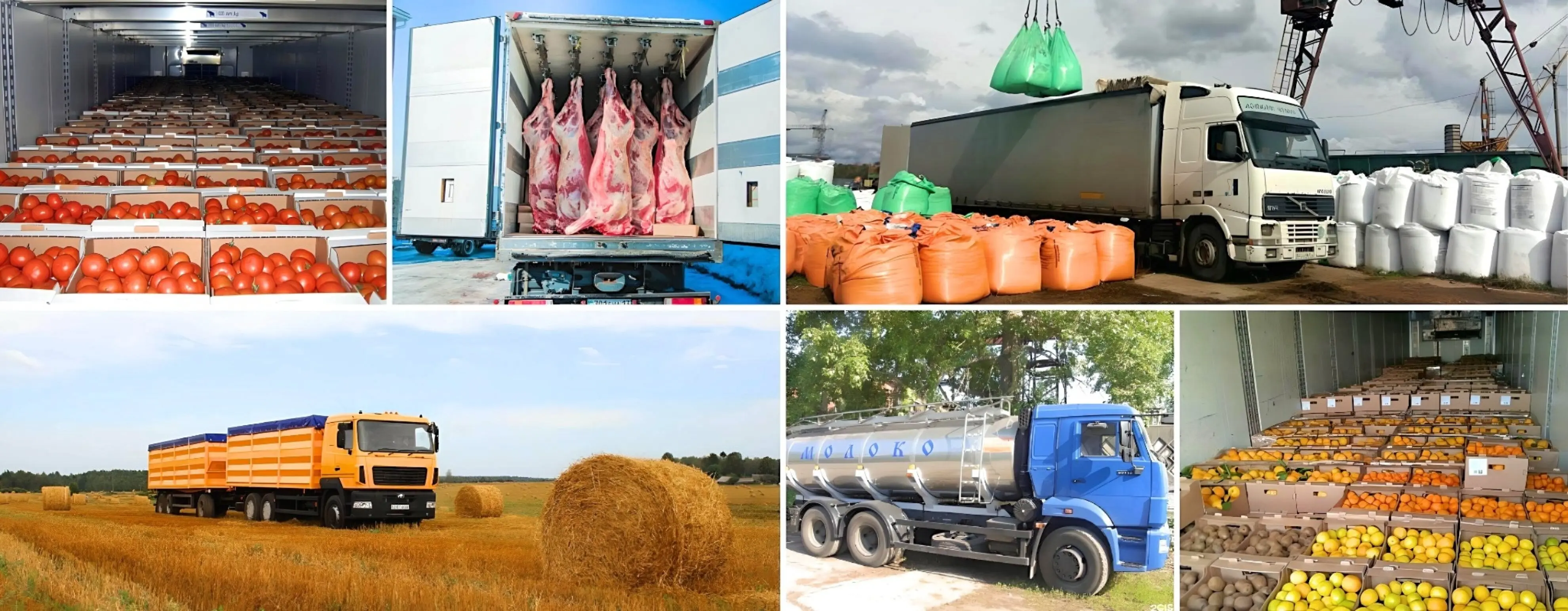 Окажем услуги  по перевозки сельхозпродукции