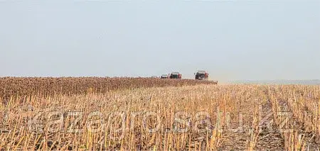 Жатка для уборки подсолнечника ПС-12