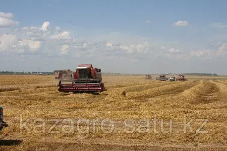 Жатка для зерновых культур ЖЗК-5-2