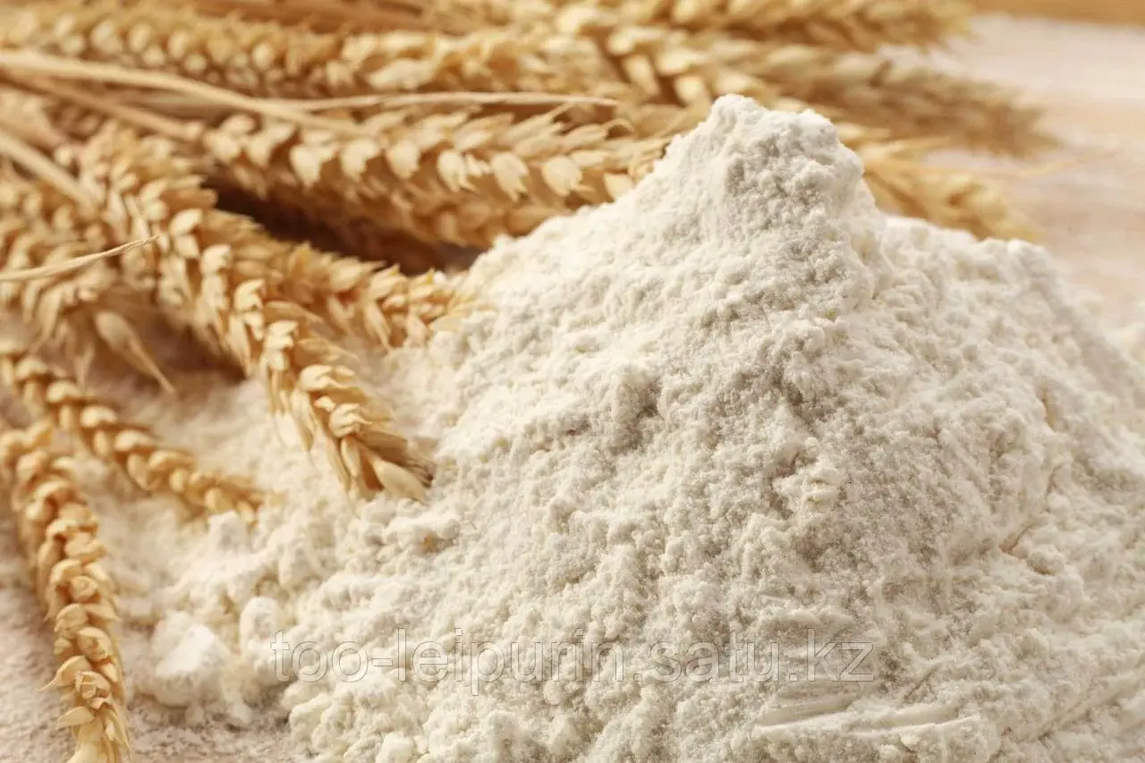 Пшеница 3кл мягкая 24% клейковина