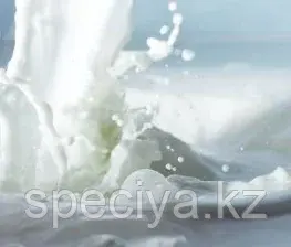 Старгель