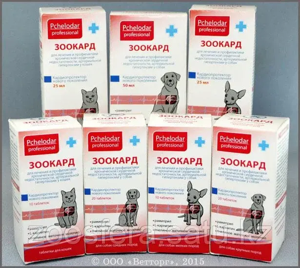 Зоокард кардиопротектор для кошек и собак Код: 00004