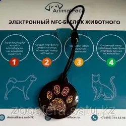 Регистрация в международной базе микрочипов Код: 00090