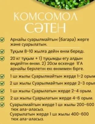 КОМСОМОЛ СӘТЕН