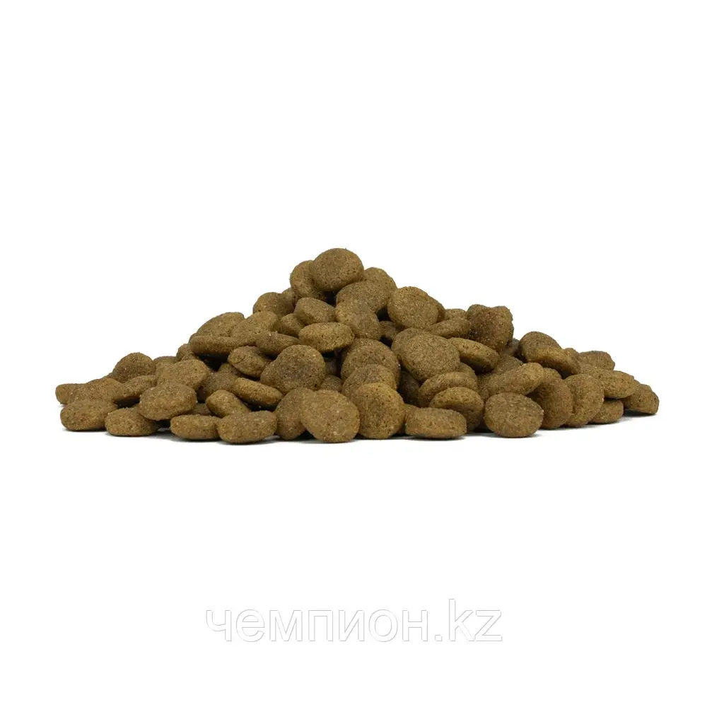 11731 Forza10 Medium Diet pesce, Форца10 диетический корм из рыбы для собак средних пород, 12кг.