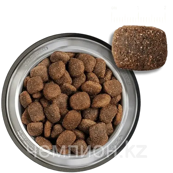 556325 Belcando Adult GF Ocean, Белькандо безглютеновый корм для взрослых собак с морепродуктами, уп.12,5кг.
