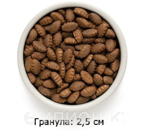 850990 GRANDORF Lamb &Turkey Adult Maxi - ягнёнок/индейка с бурым рисом для крупных собак, уп.10 кг.
