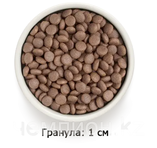 851027 GRANDORF White Fish Adult Medium & Maxi - белая рыба с бурым рисом для средних, крупных соба, уп.10 кг.