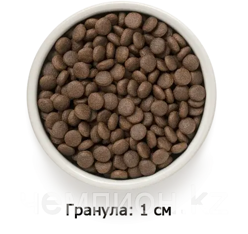 851133 GRANDORF 4 Meat Adult Medium & Maxi - 4 мяса с бурым рисом для средних, крупных собак, уп.10 кг.