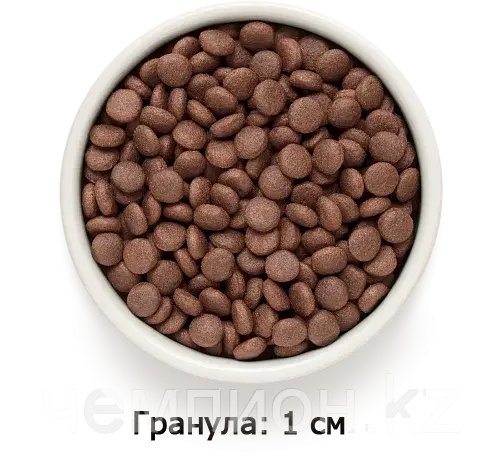 850976 GRANDORF Lamb&Turkey Adult Medium&Maxi - ягнёнок/индейка с бурым рисом для средних, крупных, уп.10 кг.