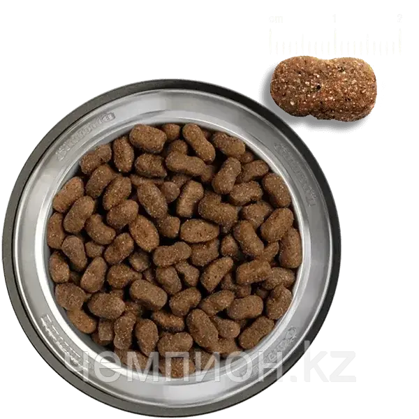 556929 Belcando Adult Grain-Free Horse, беззерновой корм для взрослых собак с кониной, уп.12,5 кг