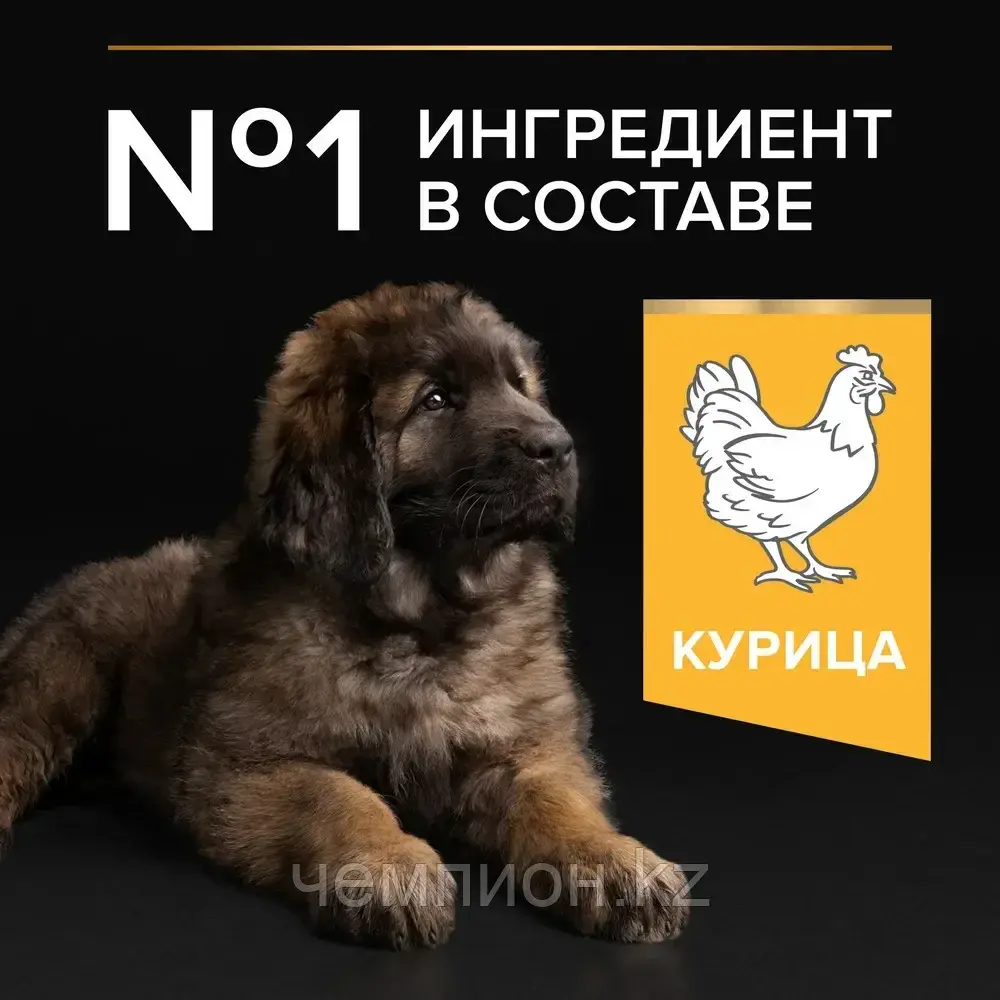 Pro Plan Puppy Large Robust, Про План корм для щенков крупных пород, курица/рис, уп. 12кг.