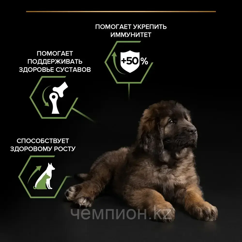 Pro Plan Puppy Large Robust, Про План корм для щенков крупных пород, курица/рис, уп. 12кг.